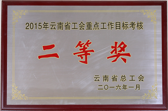 2015云南省总工会授予BC贷二等奖