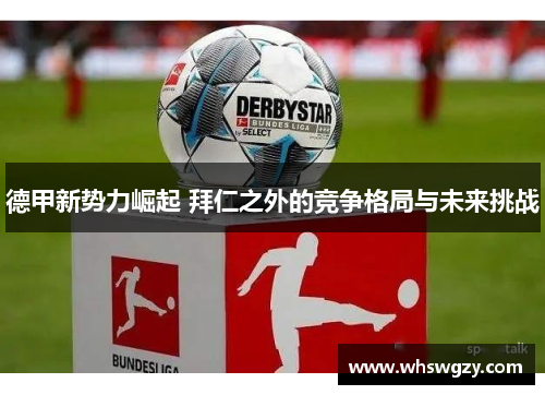 德甲新势力崛起 拜仁之外的竞争格局与未来挑战