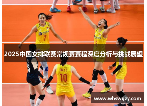 2025中国女排联赛常规赛赛程深度分析与挑战展望