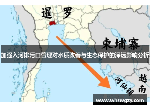加强入河排污口管理对水质改善与生态保护的深远影响分析