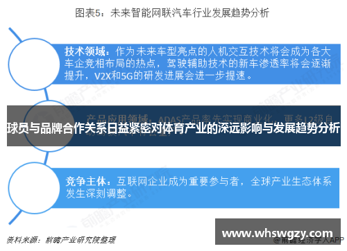 球员与品牌合作关系日益紧密对体育产业的深远影响与发展趋势分析
