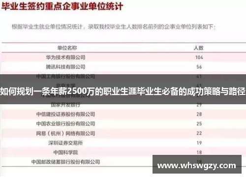 如何规划一条年薪2500万的职业生涯毕业生必备的成功策略与路径
