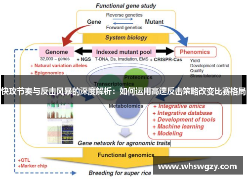 快攻节奏与反击风暴的深度解析：如何运用高速反击策略改变比赛格局