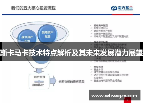 斯卡马卡技术特点解析及其未来发展潜力展望