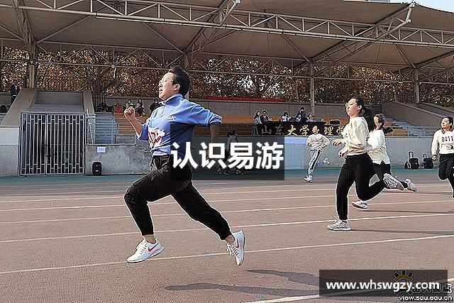 认识易游